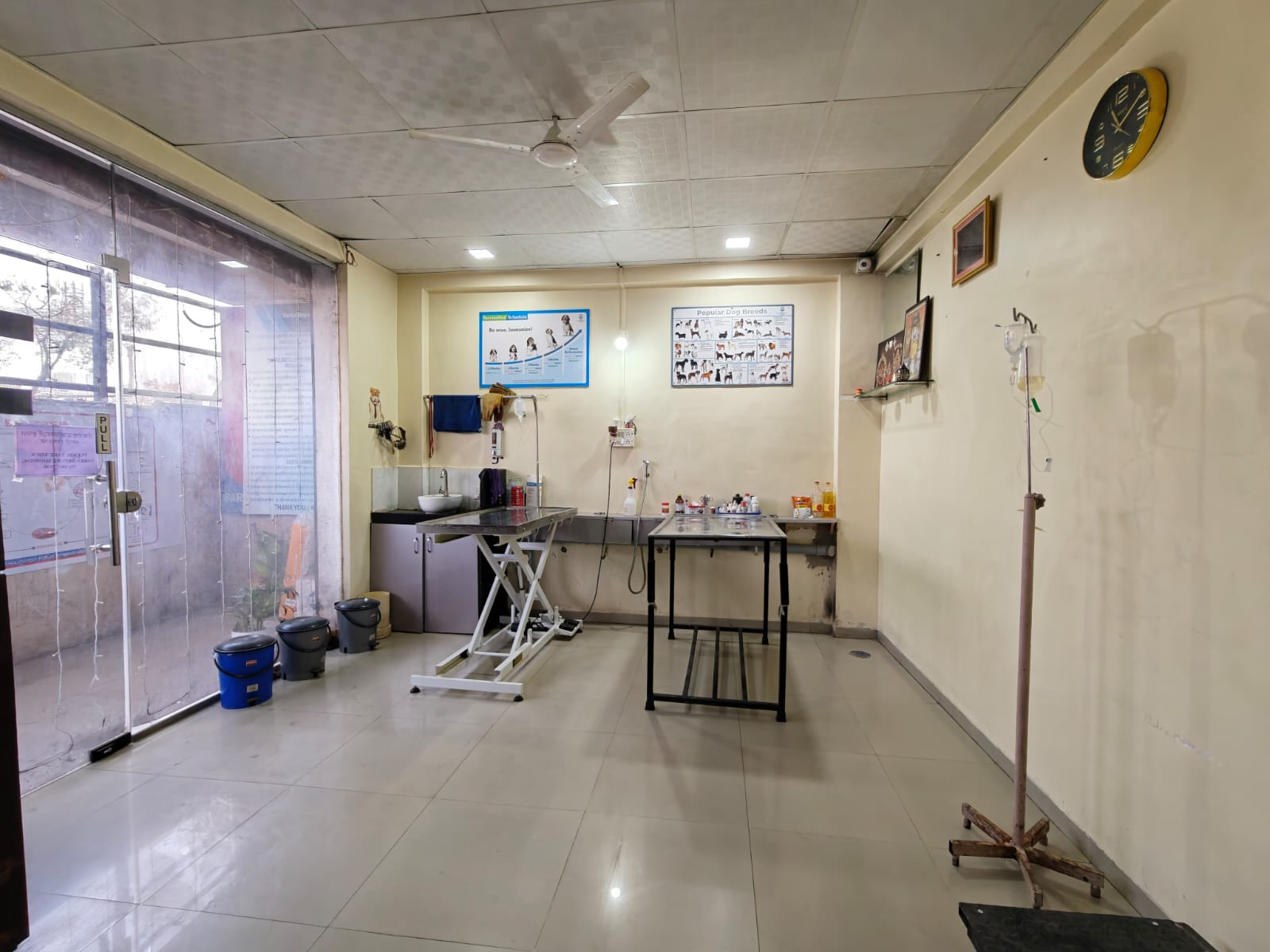 Sarvadnya Pet Care Unit veterinary clinic, Pune